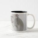 Search for english bulldog mugs Animals
