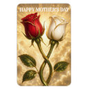 Search for a rose magnets Mother