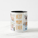 Search for mother of mugs Boho