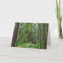 Search for growth cards Nature