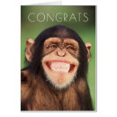 Search for chimpanzees photography Nature