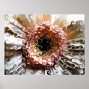 Search for gerber posters Floral