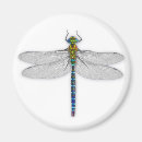 Search for bug pictures magnets Dragonflies