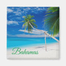 Search for blue tropical magnets Exotic