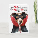 Search for italian greyhound cards Pets