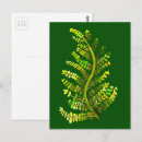 Search for fern leaf postcards Leaves