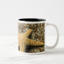 Search for star fish mugs Colourful