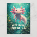 Search for axolotl postcards Pink