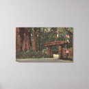 Search for big tree canvas prints Cruz