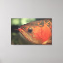 Search for wild side canvas prints Close up