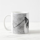 Search for ragdoll cats mugs Kitten