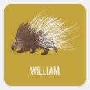 Search for porcupines stickers Wild animals