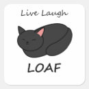 Search for laughing cat stickers Kitten