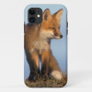 Search for the red fox iphone cases Mammal