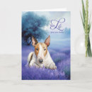 Search for bullies cards Dogs