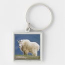 Search for one nation key rings No people