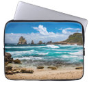 Search for terre electronics Beach