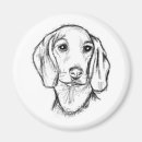 Search for drawn magnets White