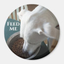 Search for large image magnets Food