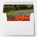 Search for photography envelopes Red