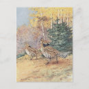 Search for bird print postcards Antique
