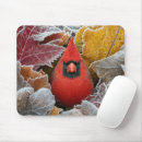 Search for red bird mouse mats Nature