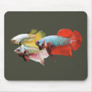Search for bettas mouse mats Splendens