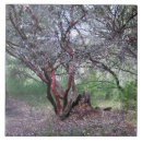 Search for forest scene tiles Woods