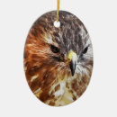 Search for red tail hawk christmas tree decorations Hawks