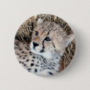 Search for cheetah cat badges Cute