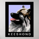 Search for keeshond posters Canine