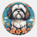 Search for apso Portrait