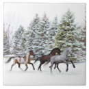 Search for fall winter tiles Snow