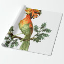 Search for isolated wrapping paper Beautiful