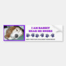 Search for basset bumper stickers Animal