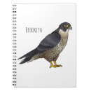 Search for bird notebooks Bird of prey