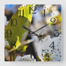 Search for bee clocks Photography