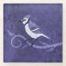 Search for blue jay barware Cyanocitta cristata