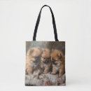 Search for pomeranian bags Puppies