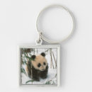 Search for panda bear square key rings Asia