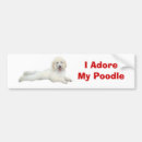 Search for poodle bumper stickers Puppy