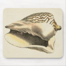 Search for conch mouse mats Coastal