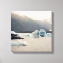 Search for conservation canvas prints Ocean