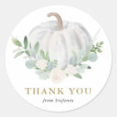 Search for white pumpkin stickers Watercolor