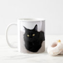 Search for longhair mugs Pet