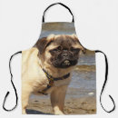 Search for pug dog aprons Mops