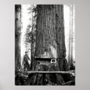 Search for vintage lumberjack posters Logging
