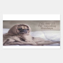 Search for funny monday stickers Cute