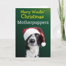 Search for border collie christmas cards Dog lover