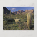 Search for containerful postcards Landscape